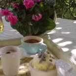 Marchesi Boisson