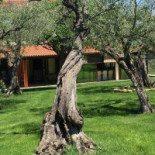 Agriturismo Terra Del Vento Exterior