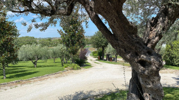 Agriturismo La Collinetta outside