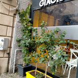 Vaco 'e Pressa Extérieur