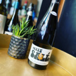 Quercus drink