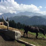 Rifugio Le Malghe