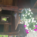 Stallila À l'intérieur