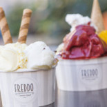 Freddo Boisson