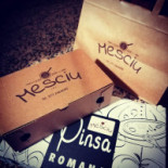 Mesciu Garage Carta