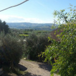 Fattoria Dell'uliveto Extérieur