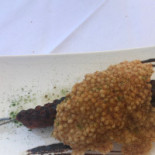 Miramonti food