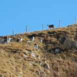 Malga Archeset Extérieur