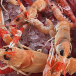 Mare Grande Comida