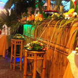 Cycas Cafe À l'intérieur