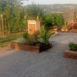 Osteria Novecento