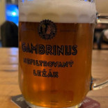 Cantinedda Boisson
