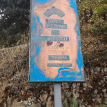 Gli Asfodeli Carta
