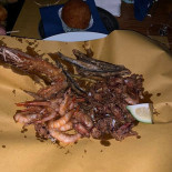 Morus Alba Comida