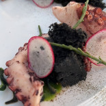 Dish Comida