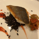 Dish Comida