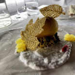 Dish Bebida