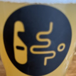 Salka Logo