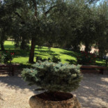 La Massaria Di Sarchiappone Extérieur