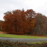 Villa Ginevra Extérieur