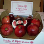 Tenuta Il Melograno Boisson