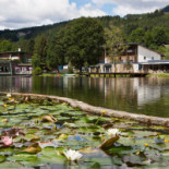 Issinger Weiher Extérieur