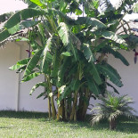 La Torretta Exterior