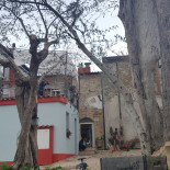 Trattoria Gracco