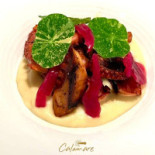 Calamare Comida