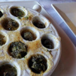 Serenella Bebida