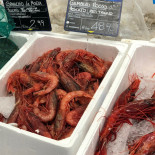 Gocce Di Mare