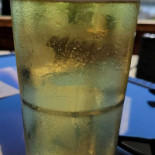 Stube Paulaner Boisson