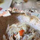 Antico Morer Nourriture