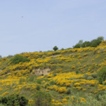 Costa Casale Exterior