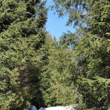 Malga Messner