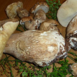 Il Riccio D'oro Nourriture