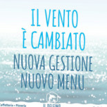 Il Delfino Logo