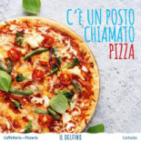 Il Delfino Comida