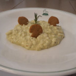 Gromo Nourriture