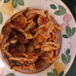 Filippu E Panaru Comida