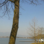 Lago Dei Cigni