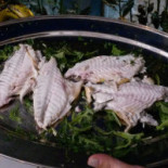 Core 'e Mamma Comida