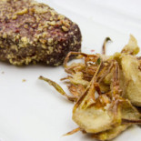 De Gustibus Nourriture