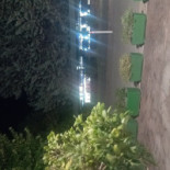 Quintana Boisson