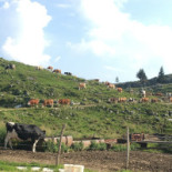 Malga Zebio Exterior