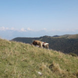 Malga Mont Exterior