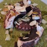 Piccola Stella Comida