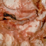 Storie Di Pane E Caffe Bakery Nourriture