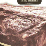 I Latini Carta