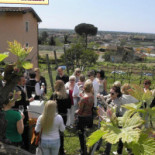 Cantine Basile
